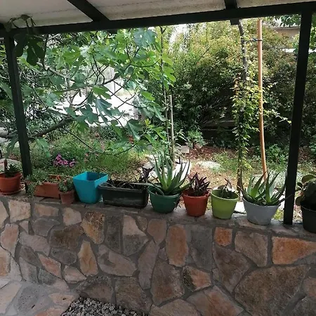 Braun Apartment Zadar Room photo